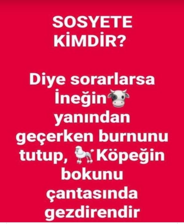 Size göre SOSYETE kimlere denir?