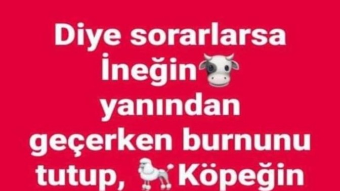 Size göre "SOSYETE" kimlere denir?