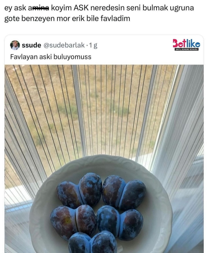 Aşkı arıyor musunuz?