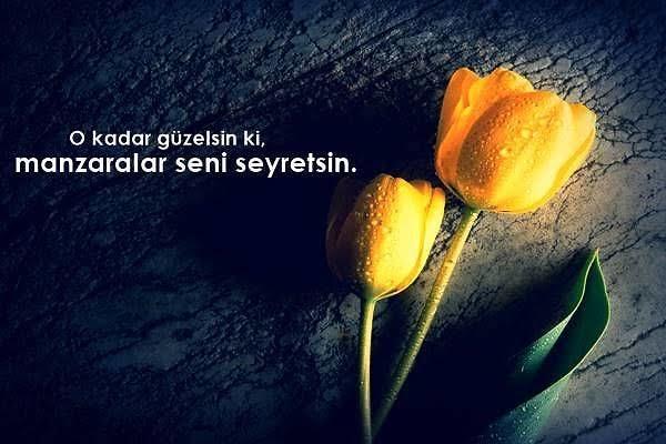 Yaptığınız/Aldığınız en yaratıcı iltifat hangisiydi?