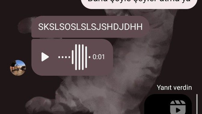 Bana karşı hissiz midir yoksa bir adım mı bekliyordur?