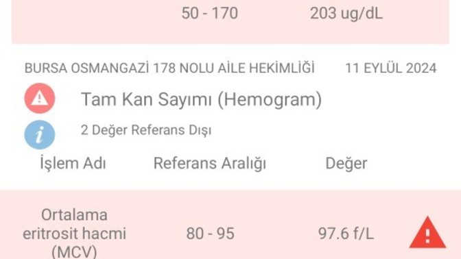 Anlayan varsa bakabilir mi?
