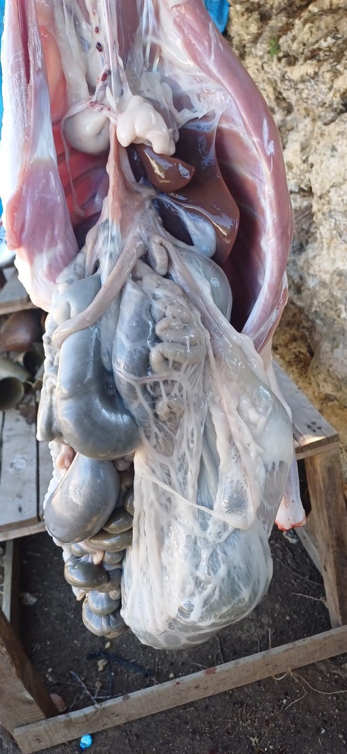 Erkekler, kadınların erkekleri abartmasına gıcık mı oluyor?