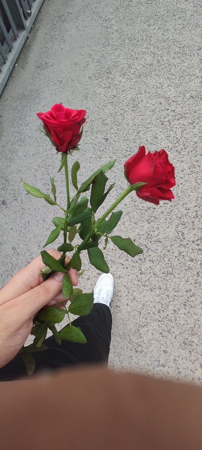 Çiçekler kadınları mutlu eder mi?