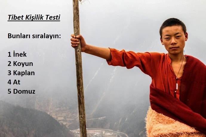 Tibet Kişilik Analizi: Resimdekileri kendinize göre nasıl sıralarsınız?