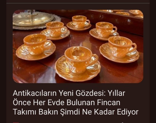Sizin evinizde bu fincanlardan var mı?