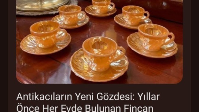 Sizin evinizde bu fincanlardan var mı?