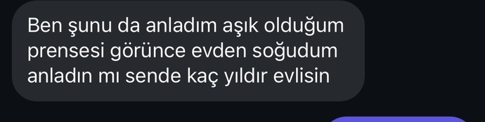Erkekler aşık olduğu kızı düşünerek mastürbasyon yapmazlar mı?