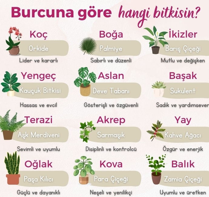 Burcunuza göre hangi bitkisiniz?