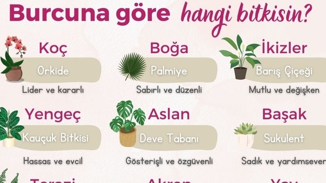 Burcunuza göre hangi bitkisiniz?
