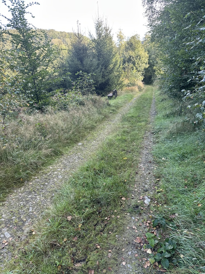 sabah sporu