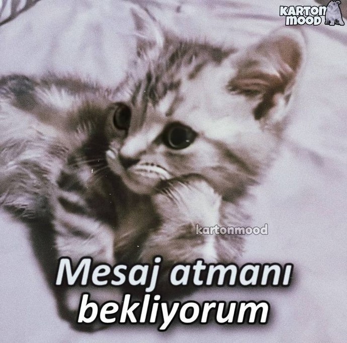 Mesaj atmasını beklediğiniz kişi Mesaj atıyor mu?