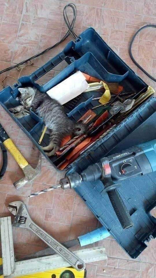 Üstünüzdeki giysiyi pardon yorgunluğu nasıl atıyorsunuz?