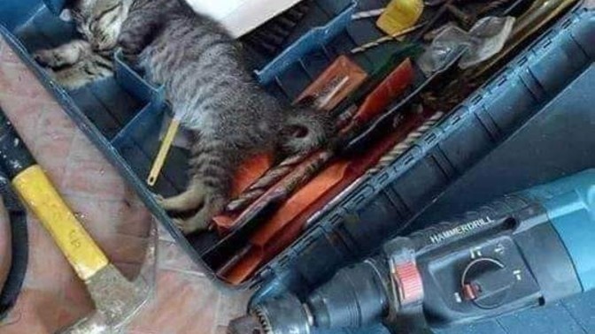 Üstünüzdeki giysiyi pardon yorgunluğu nasıl atıyorsunuz?