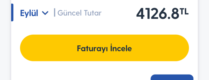 Telefon faturanız aylık kaç para?