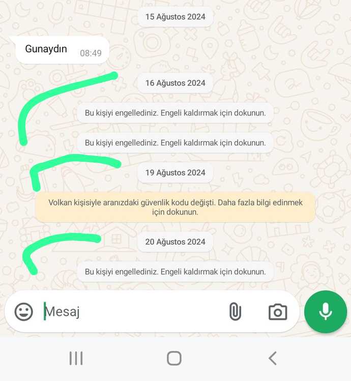 Whatsapp şu durumun sebebini bilen birisi var mıdır?