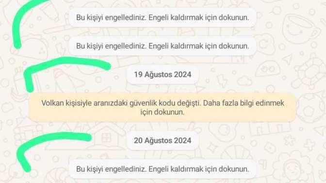 Whatsapp şu durumun sebebini bilen birisi var mıdır?