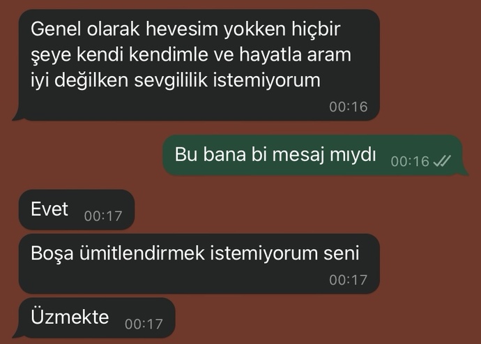 Türkçe meali ne?