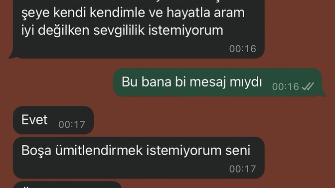 Türkçe meali ne?