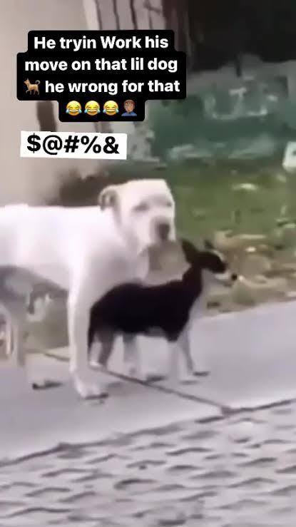 Sekste boy ve kilonun ne kadar önemi vardır?