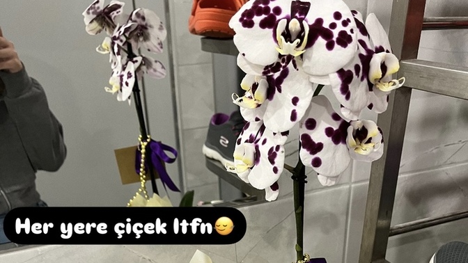 Çiçek almayı sever misiniz?