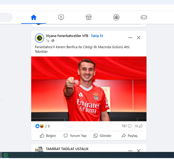Bu fenerlilerin akıl sağlığı cidden yerinde mi?