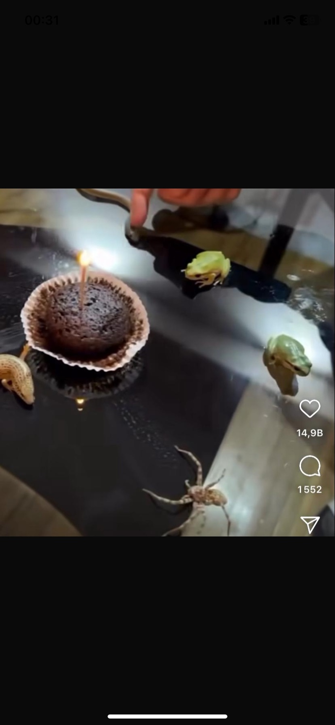 Etrafınızda art niyetli kötü insanlar var mı? varsa nasıl baş ediyorsunuz?
