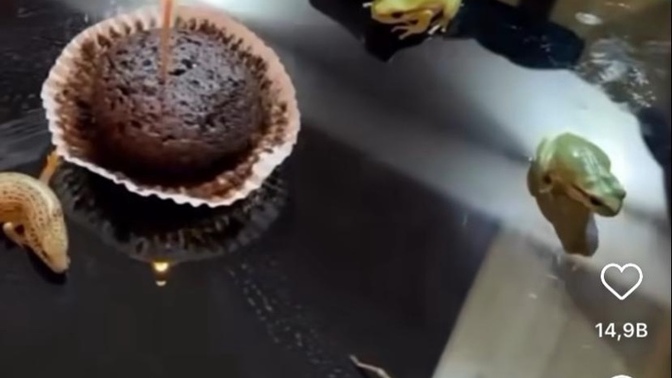 Etrafınızda art niyetli kötü insanlar var mı? varsa nasıl baş ediyorsunuz?