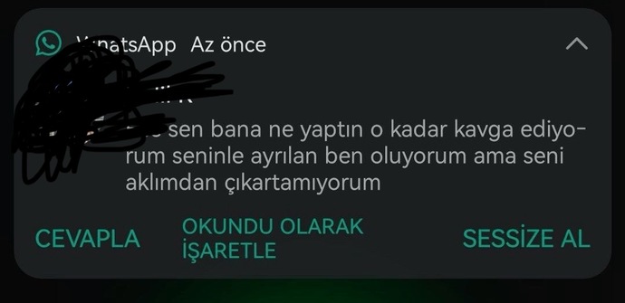 Bu mesajı göndermek istediğiniz ama gönderemediğiniz biri var mı?