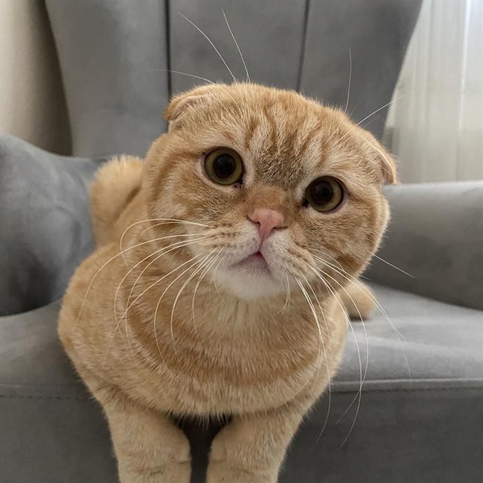 En sevdiğin fotoğraflardan paylaşır mısın, nasiplenelim?