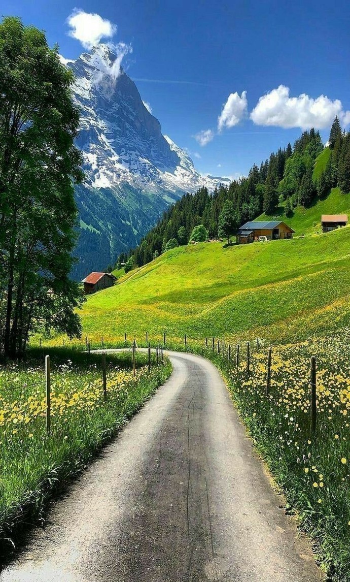 En sevdiğin fotoğraflardan paylaşır mısın, nasiplenelim?