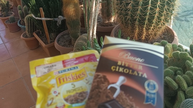 Aldığın son şey benim olsaydı neye sahip olurdum?