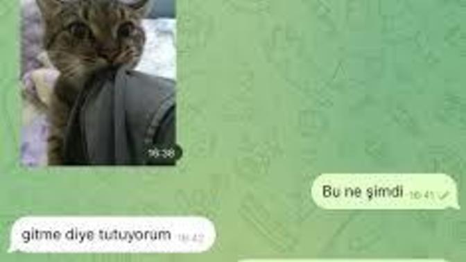 Hiç gitme kal dediniz mi?