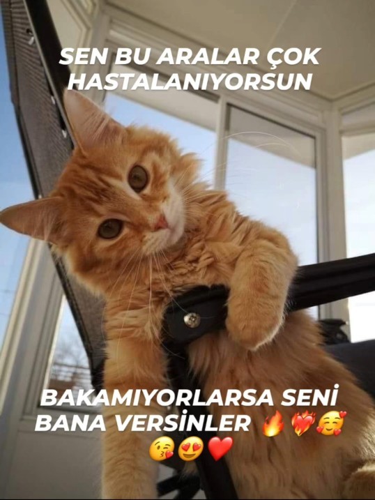 🤭Ne kadar ilgi seversiniz?