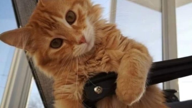 🤭Ne kadar ilgi seversiniz?