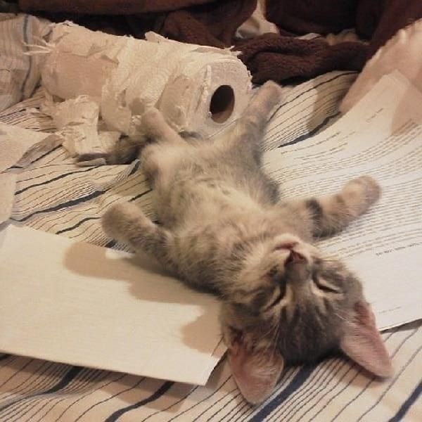 Şimdiiiii, çatı katında inziva vaktii..