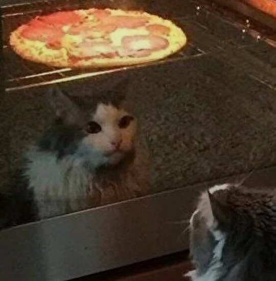 En çok hangi konuda sabırsızsıın😀?