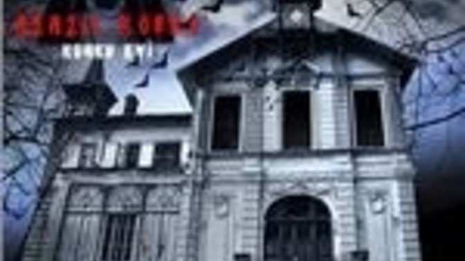 1 milyon dolar karşılığında bu evde kalır mıydınız?