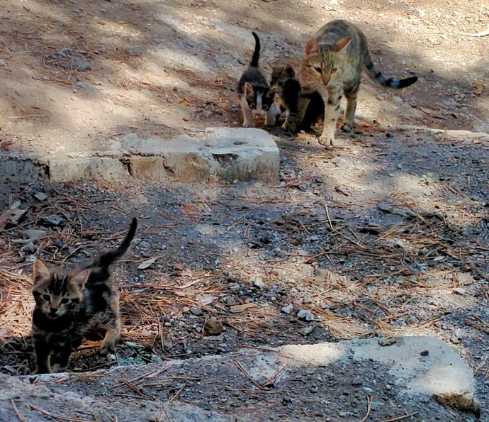 Günün fotoğrafı ne olsun acaba fikrin var mı?