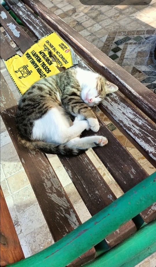 Günün fotoğrafı ne olsun acaba fikrin var mı?
