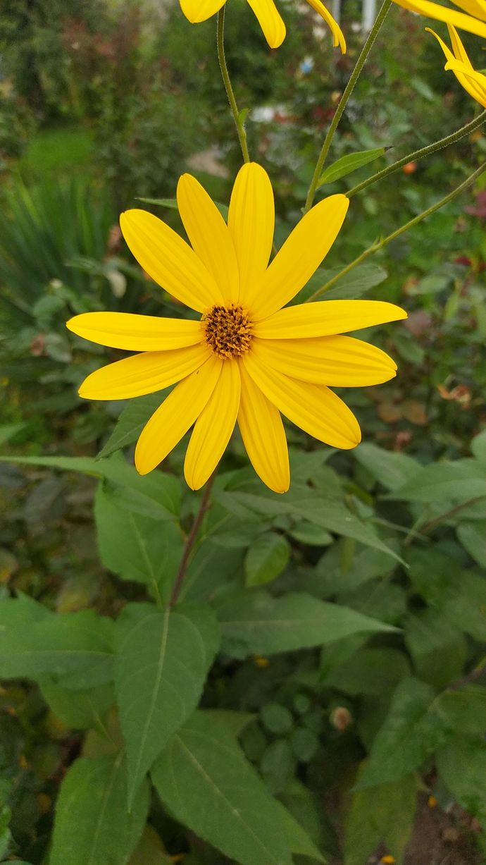 Günün fotoğrafı ne olsun acaba fikrin var mı?