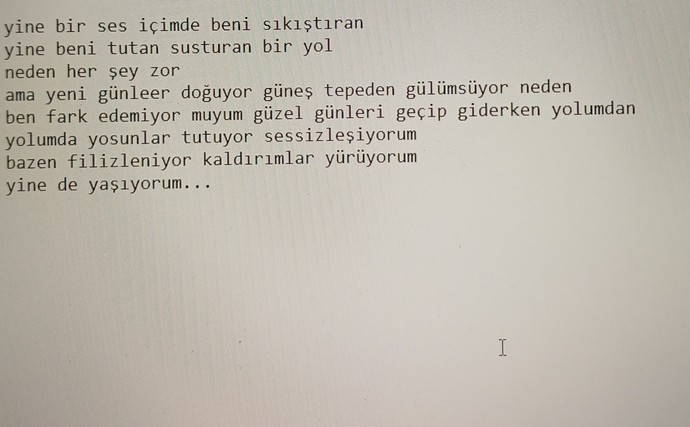Yok mu güzel şiir önerileriniz?