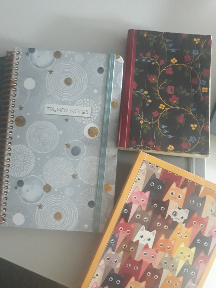 Defter kullanmayı sever misiniz?