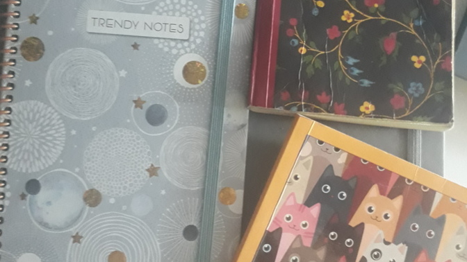 Defter kullanmayı sever misiniz?