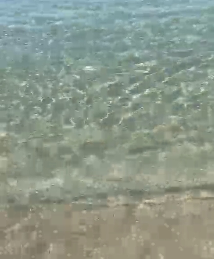Günoşkitoşş🌞! Güne nasıl başladınız?