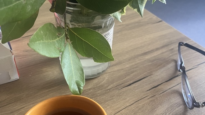 Hastayken en çok hangi içeceği tüketirsiniz?