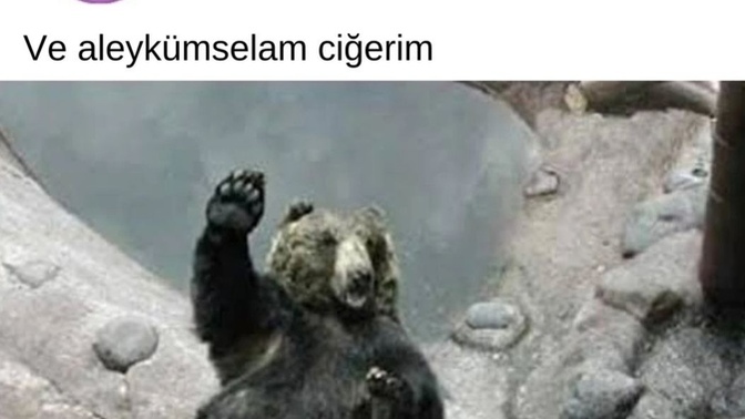 1 soru senden bir soru benden olsun mu?
