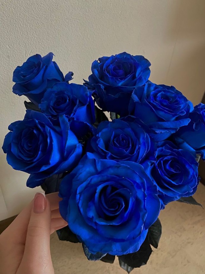 Onu affetmeli miyim?🥺? mavi güller ne anlama geliyor 💙?