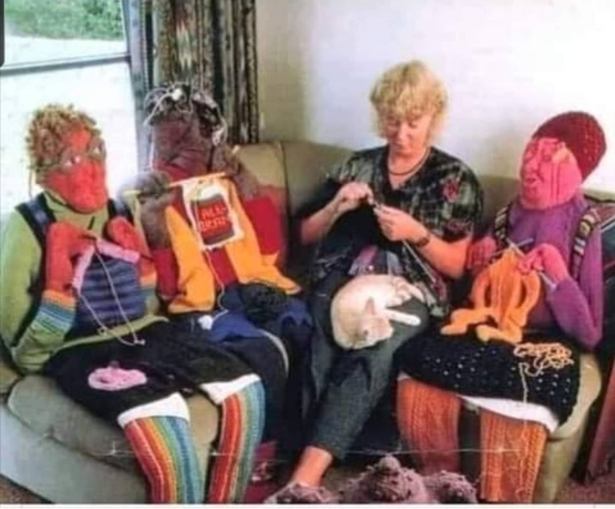 Arkadaşlarım geldi kış için örgüler yapıyoruz, kucağında kedi olan benim, sizce kışa örgü olarak kazak mı iyi olur bere mi?🤭🤭🤭?