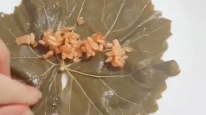 Bana süslüsün, yemek yapmayı bilmezsin diyenlere yaprak sarması yapıyorum, içine ne katsam 🤭?